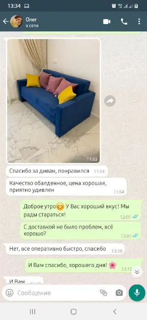 Скриншот реального отзыва RU-divan.RU №2